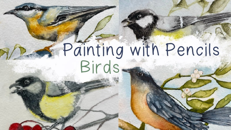Painting with Pencils - Birds