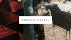 Conceal/Reveal