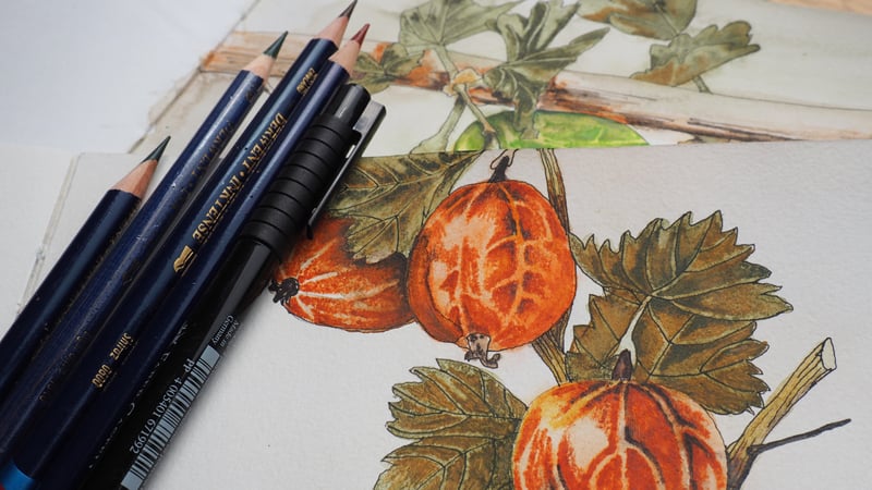 Mixed Media Drawing Techniques