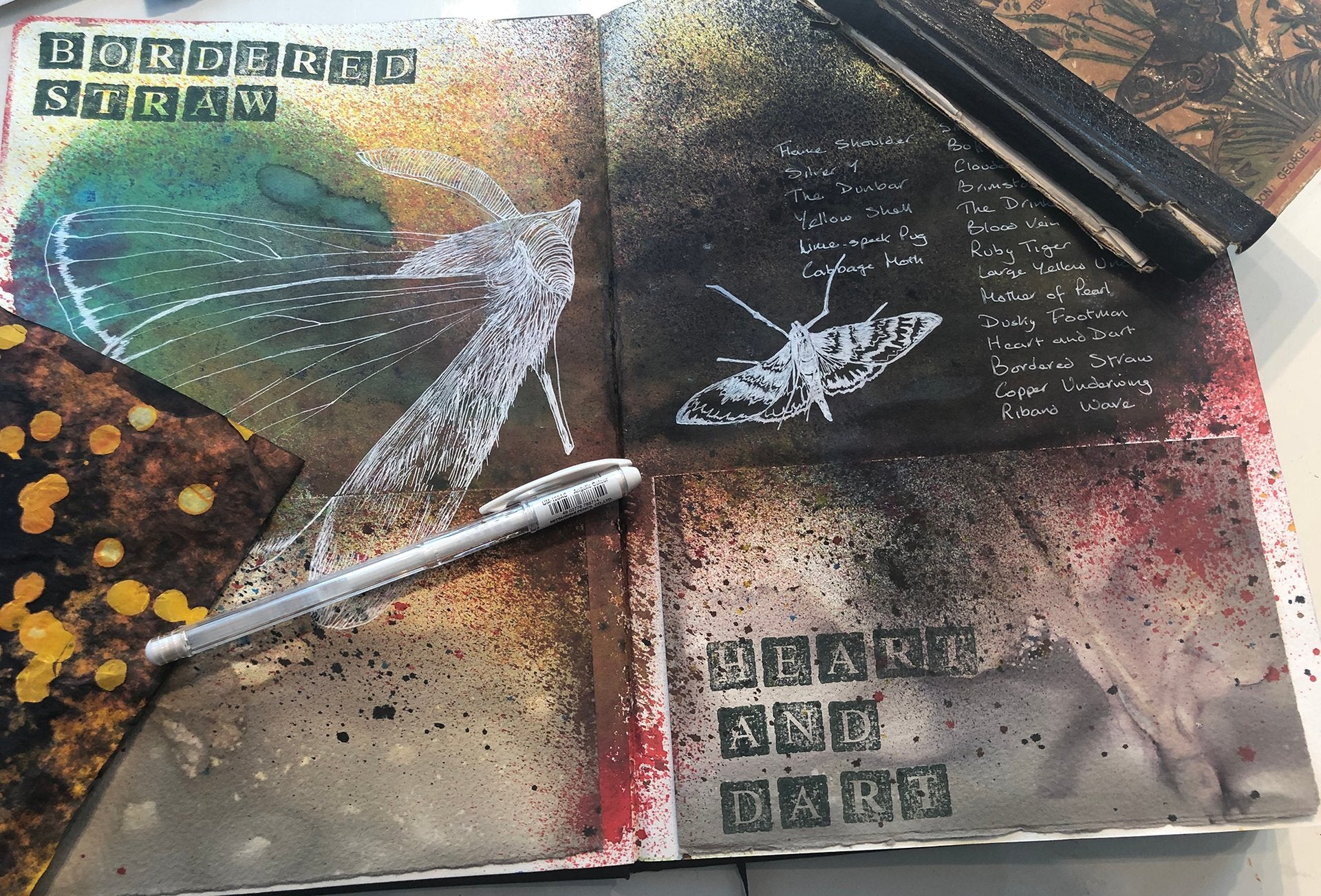 Moth Diary