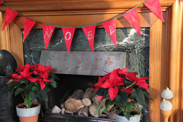 Festive Favourites