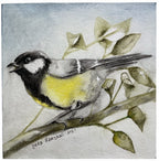 Painting with Pencils - Birds