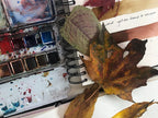Watercolour: Mixing Neutrals