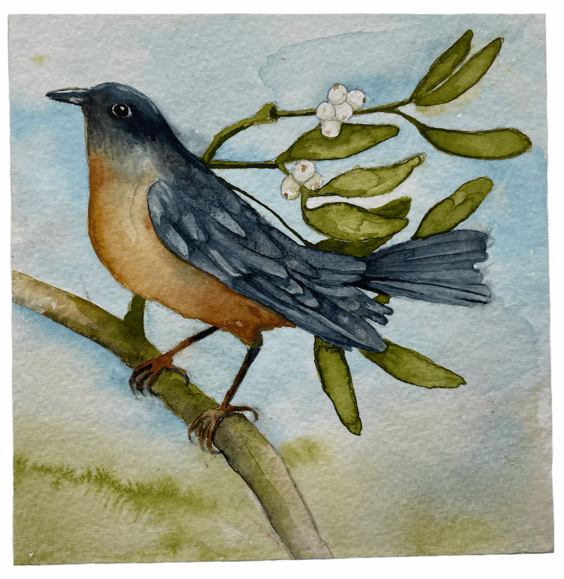 Painting with Pencils - Birds