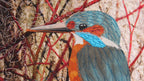 Pictorial Appliqué: Birds