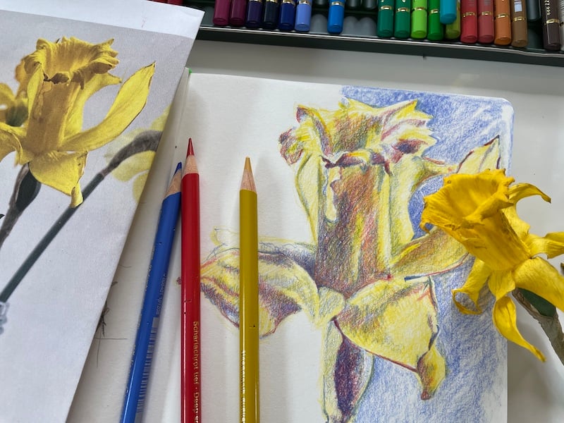 Draw with Me
