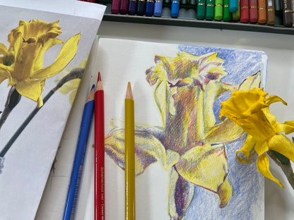 Draw with Me