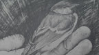 Drawing Tricks and Cheats
