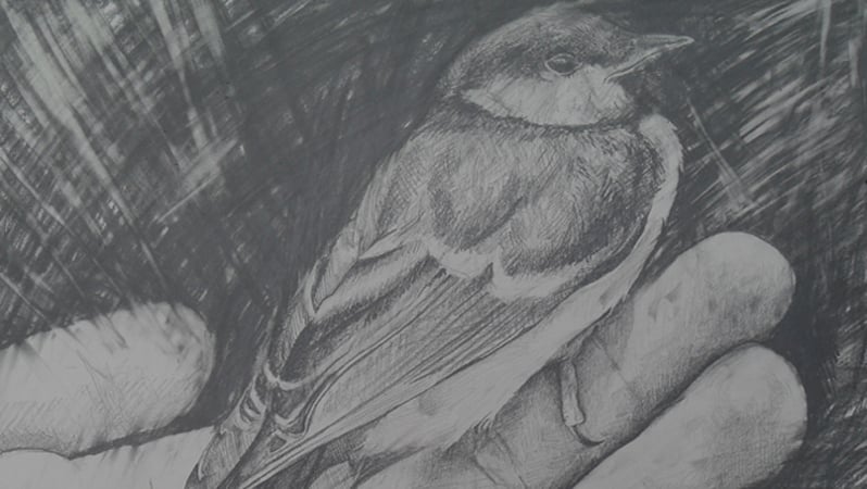Drawing Tricks and Cheats