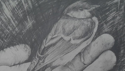 Drawing Tricks and Cheats