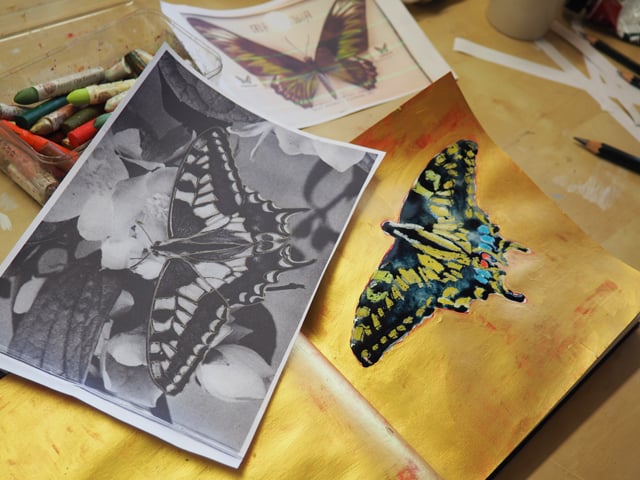Beautiful Butterflies