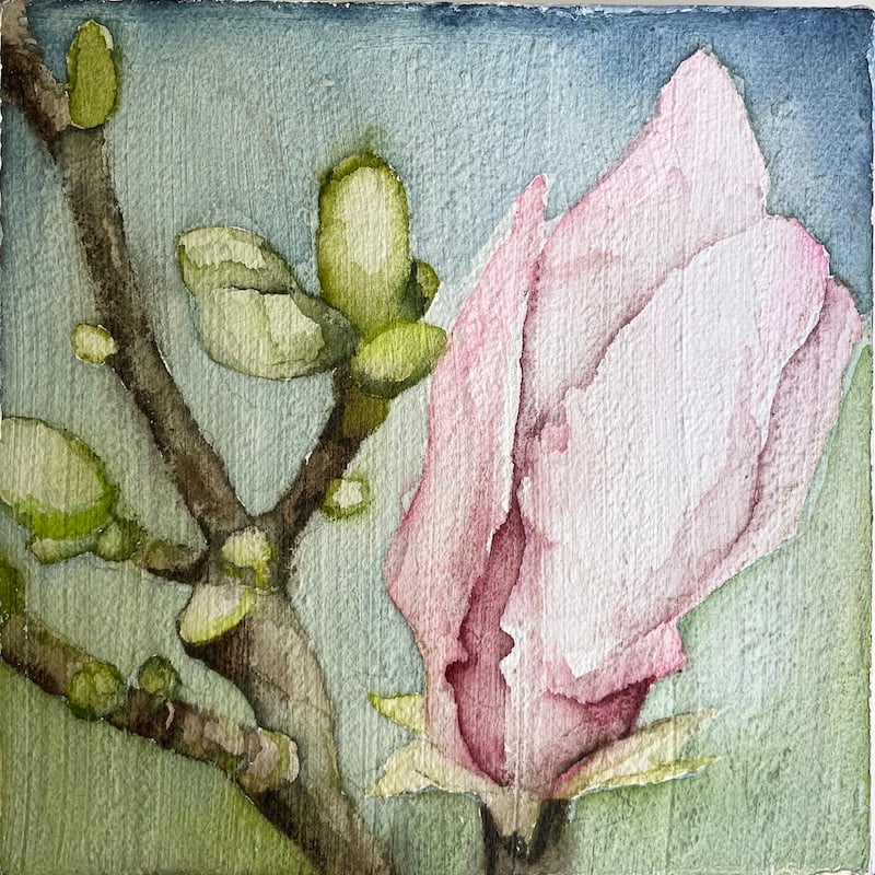 Textured Ground for Watercolour