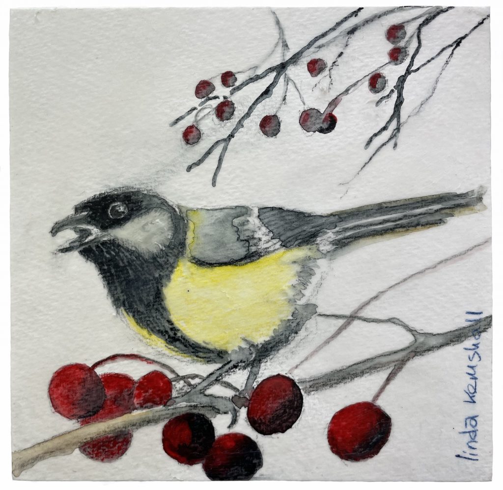 Painting with Pencils - Birds