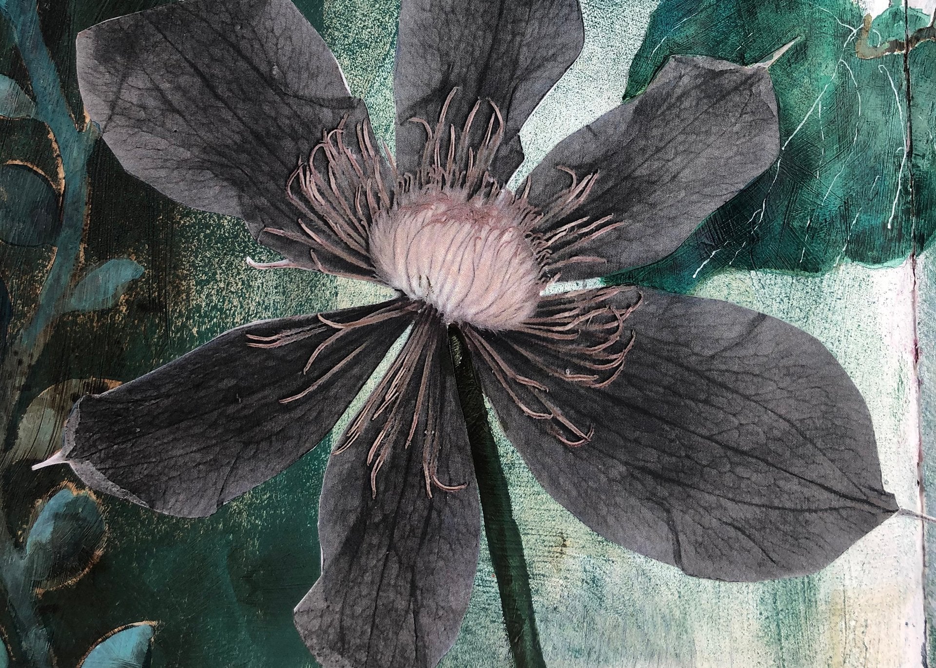 Plants in Altered Books