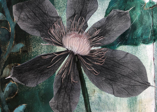 Plants in Altered Books