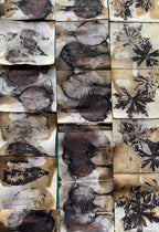 Plant Printing