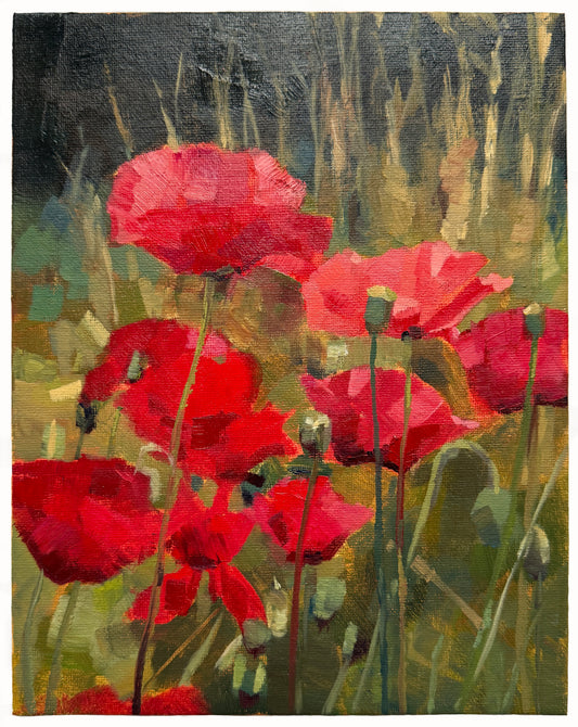 Pyrrole Poppies