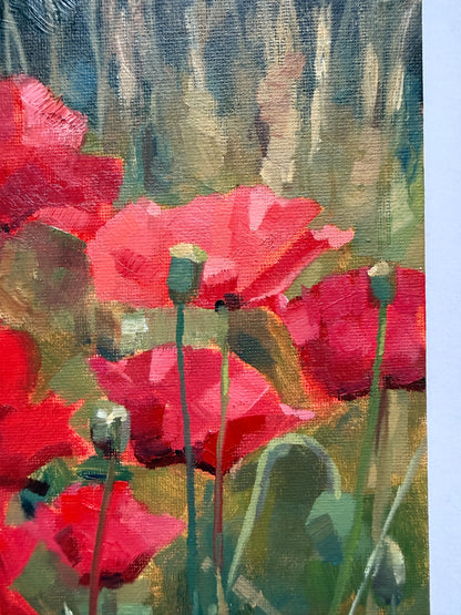 Pyrrole Poppies