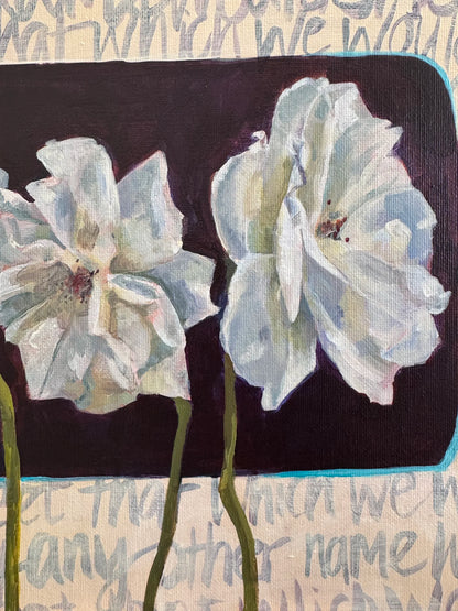 White Roses
