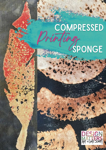 Compressed Sponge