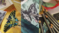 Beautiful Butterflies