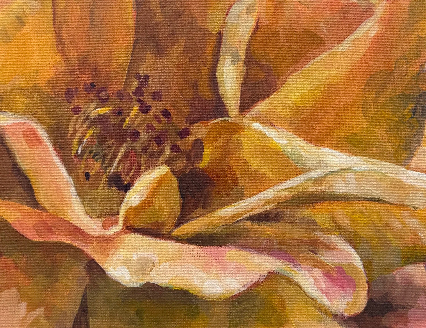 Peach Roses