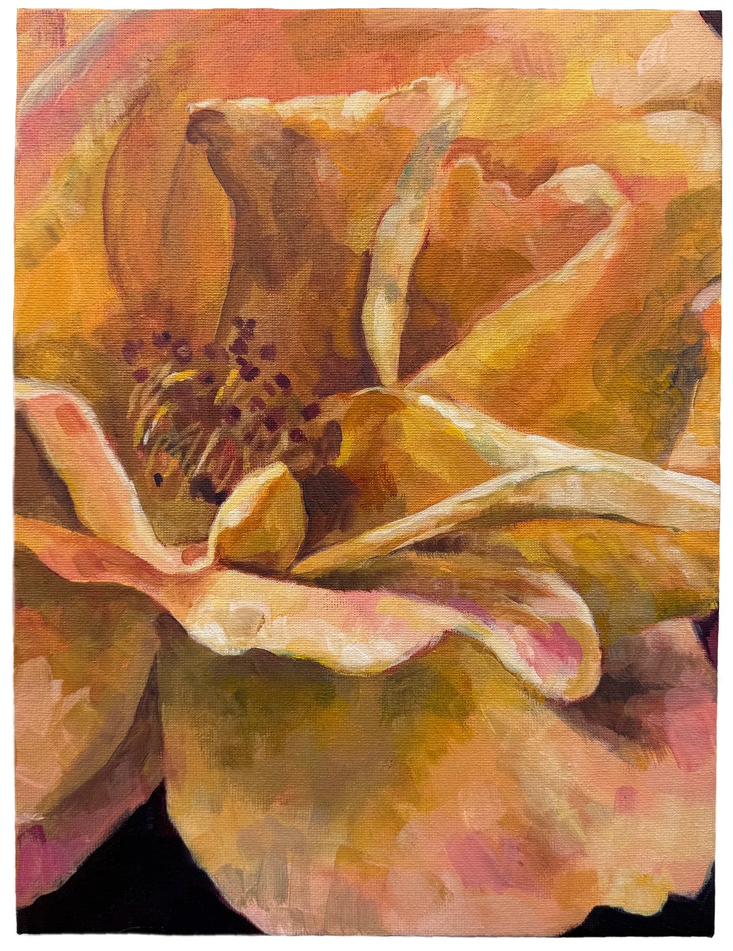 Peach Roses