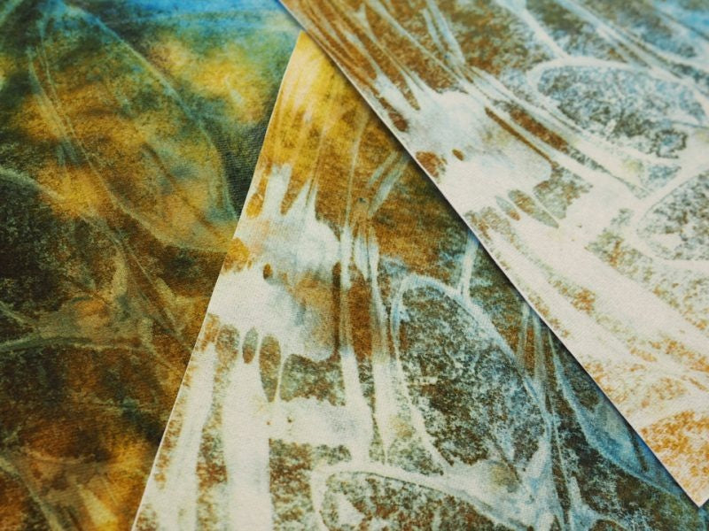 Texture Transfer Leaves