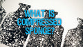What is Compressed Sponge?