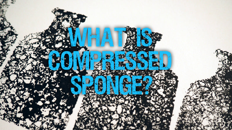 What is Compressed Sponge?