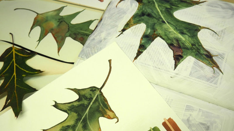 Watercolour Tips: Lifting Out